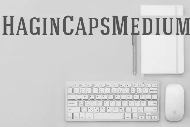 HaginCapsMedium Font examples