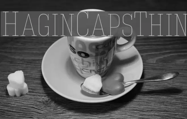 HaginCapsThin Font examples