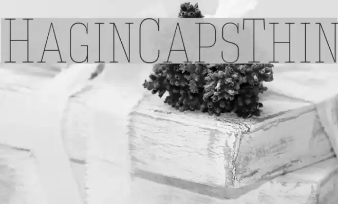 HaginCapsThin Font examples