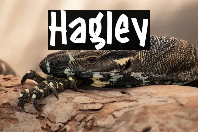 Hagley Example 2