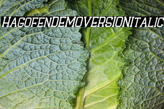 Hagofen DEMO VERSION Italic Example 2