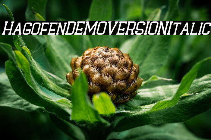 Hagofen DEMO VERSION Italic Example 3