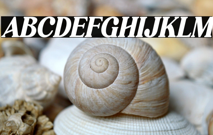 Hagona Italic Example 1