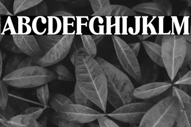 Hagona Font examples