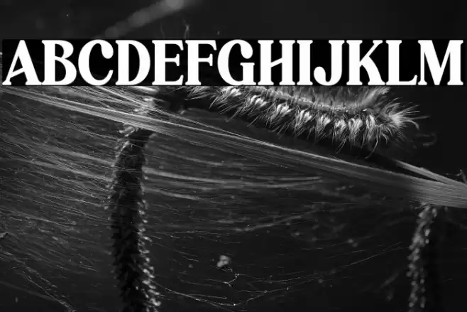 Hagona Font examples