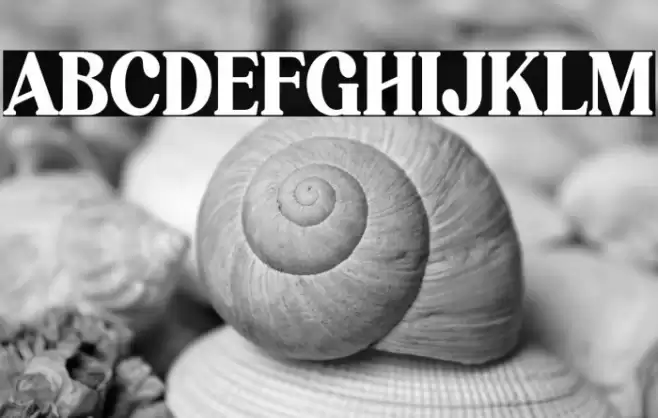 Hagona Font examples