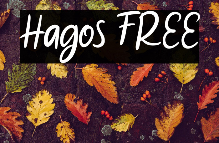 Hagos FREE Example 1