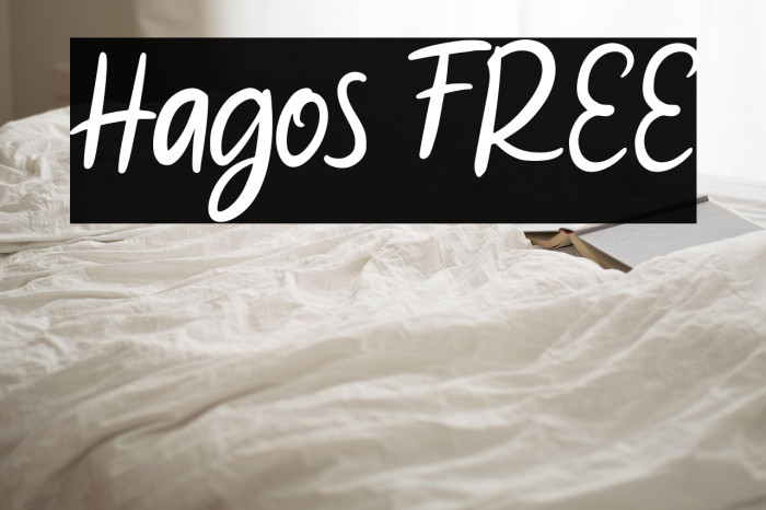 Hagos FREE Example 2