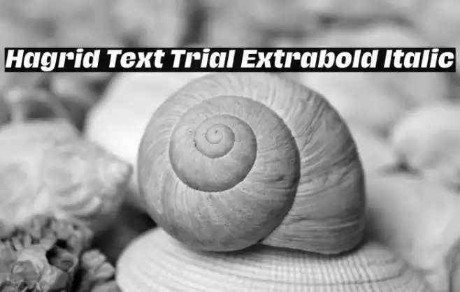 Hagrid Text Trial Extrabold Italic Font examples
