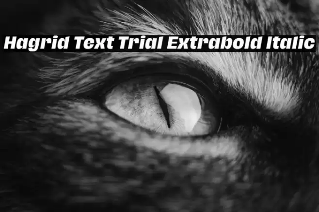 Hagrid Text Trial Extrabold Italic Font examples