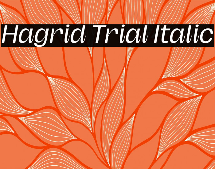 Hagrid Trial Italic Example 1