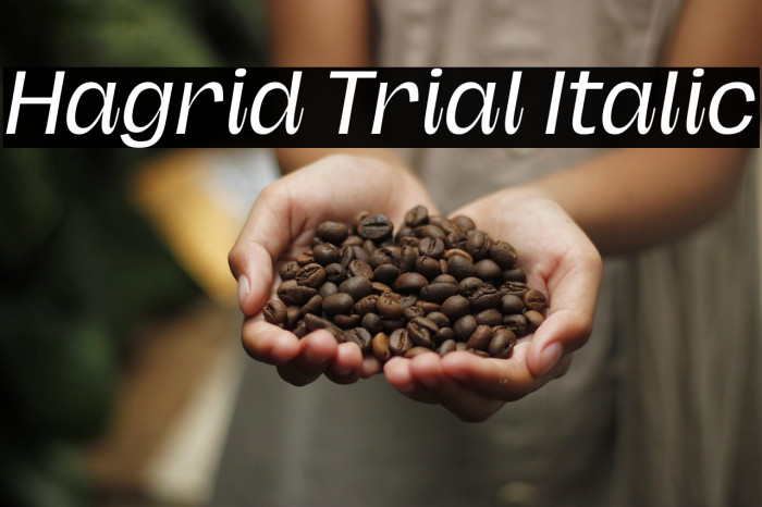 Hagrid Trial Italic Example 2