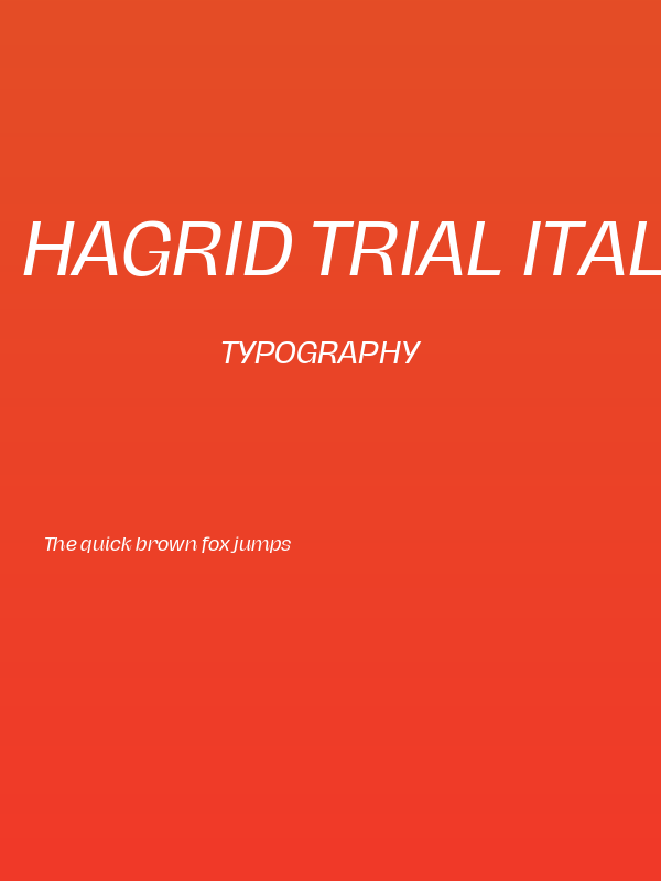 Hagrid Trial Italic Poster