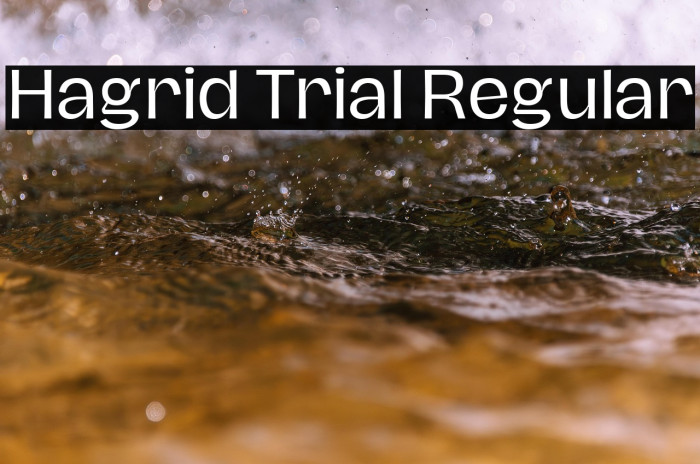 Hagrid Trial Regular Example 3