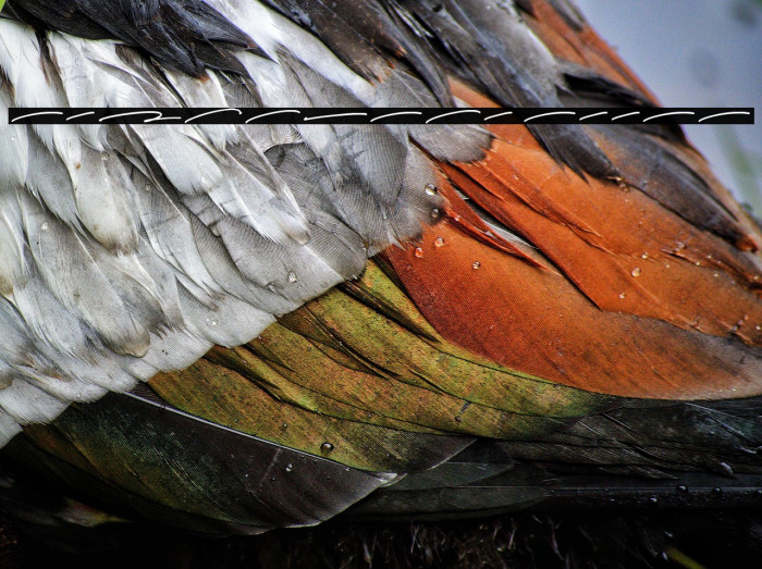 Haguiesta Swash Example 1