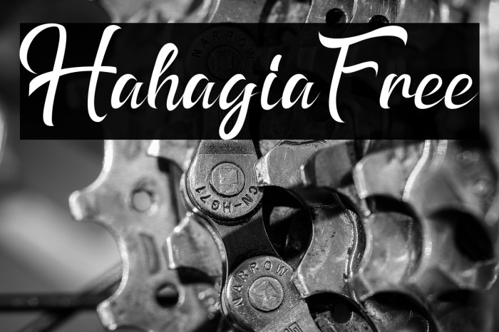 HahagiaFree Example 2