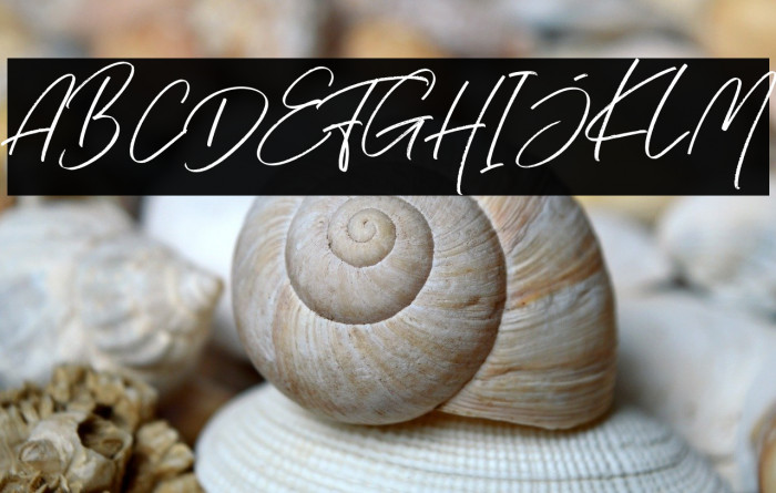 Hai Angellica! Example 1