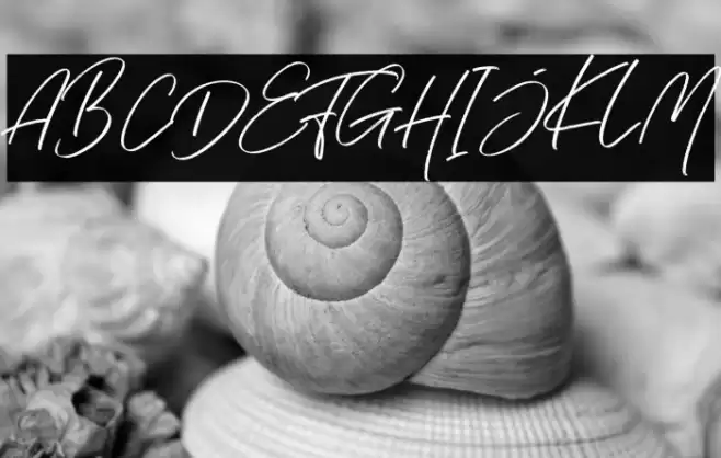 Hai Angellica! Font examples