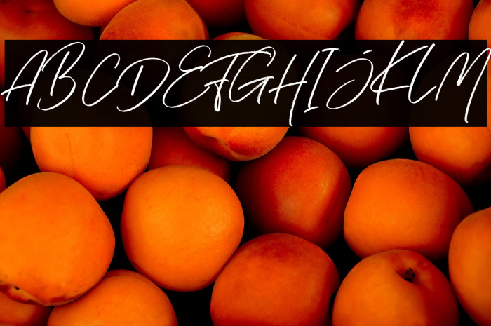 Hai Angellica! Example 2