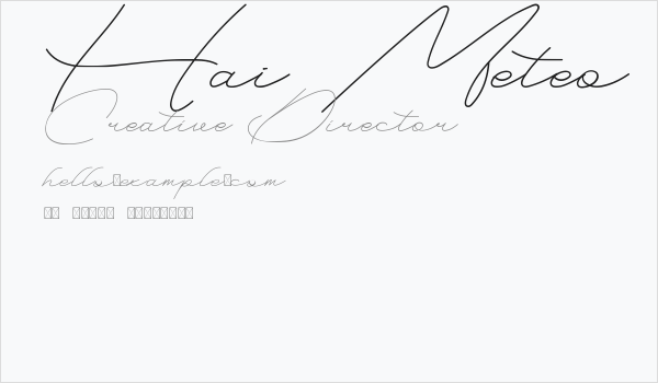 Hai Meteo Demo Business Card