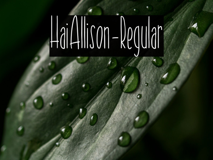 HaiAllison-Regular Example 1