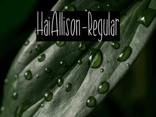 HaiAllison-Regular Example 1