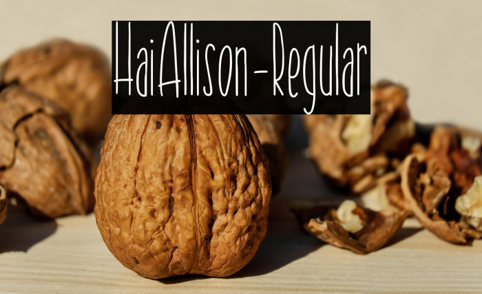 HaiAllison-Regular Example 3