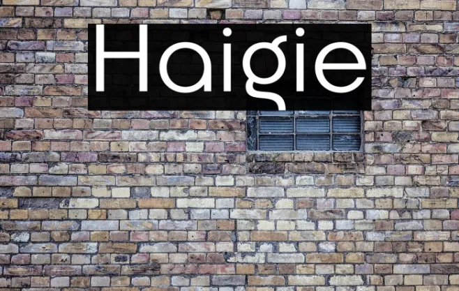 Haigie Example 2