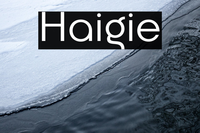 Haigie Example 3