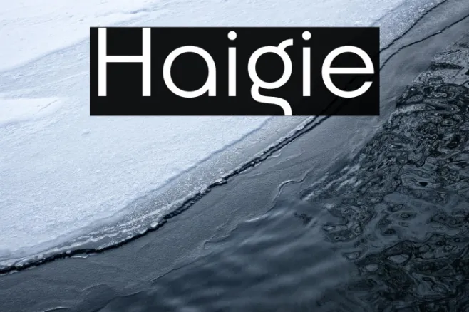 Haigie Example 3