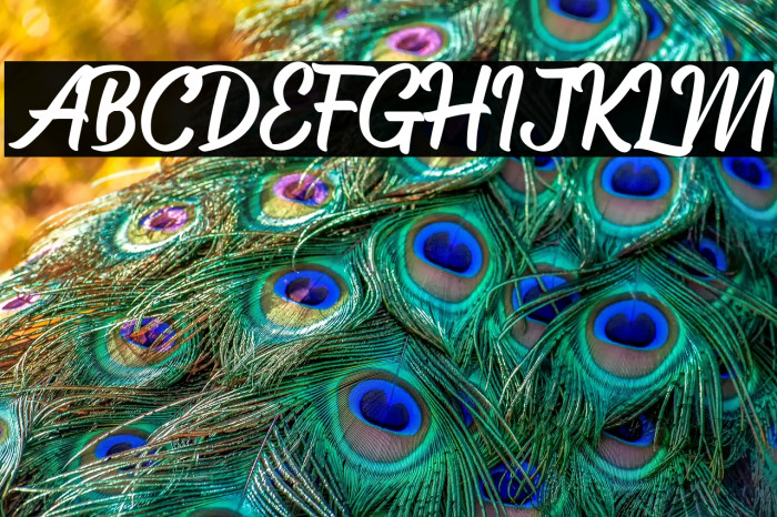 Haigl Rapture Example 3