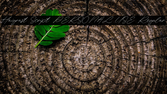 Haigrast Script PERSONAL USE Regular Example 1