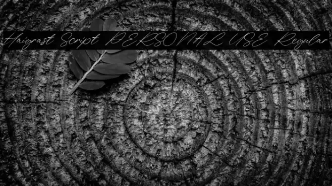 Haigrast Script PERSONAL USE Regular Font examples