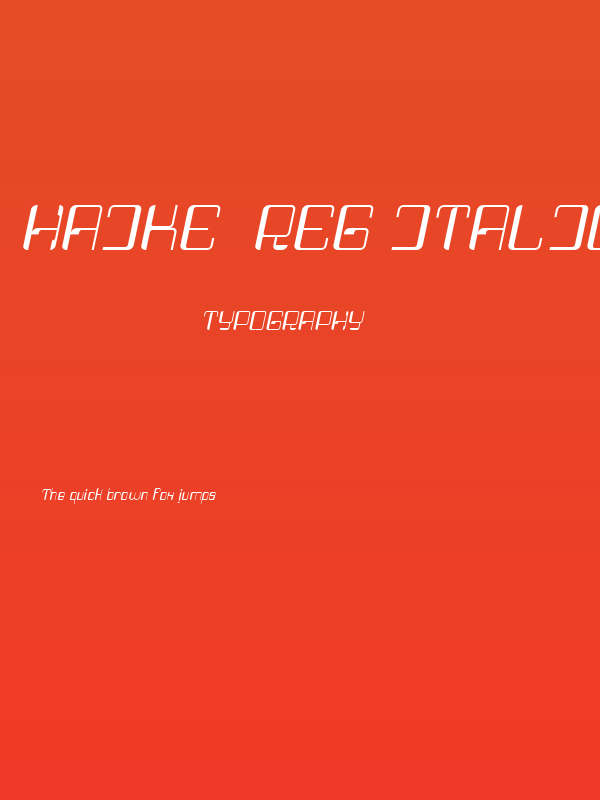 Haike  Reg Italic Poster