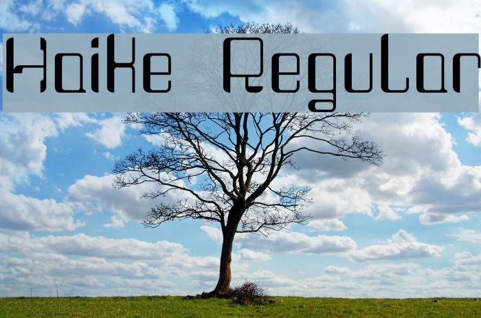 Haike Regular Font examples