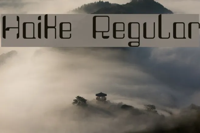Haike  Regular Example 3