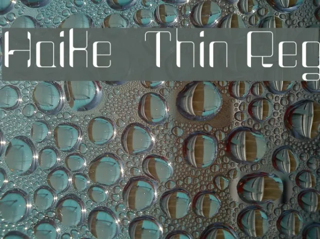 Haike  Thin Reg Example 1
