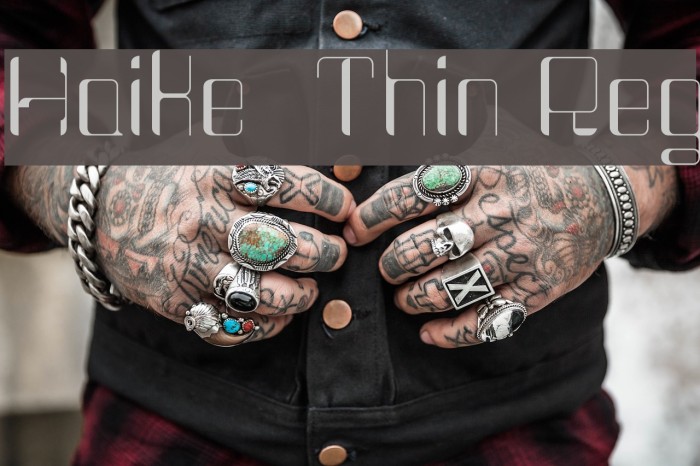 Haike Thin Reg Font examples