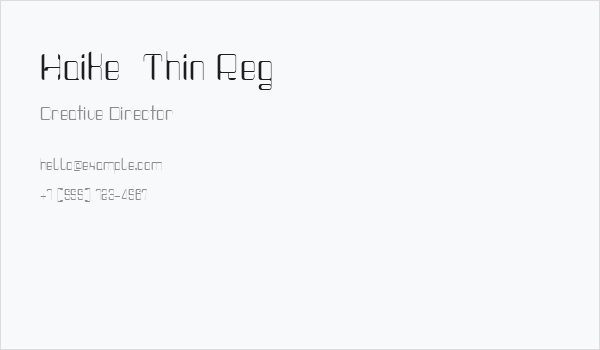 Haike  Thin Reg Business Card