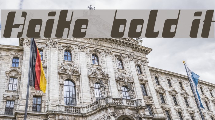 Haike  bold it Example 3