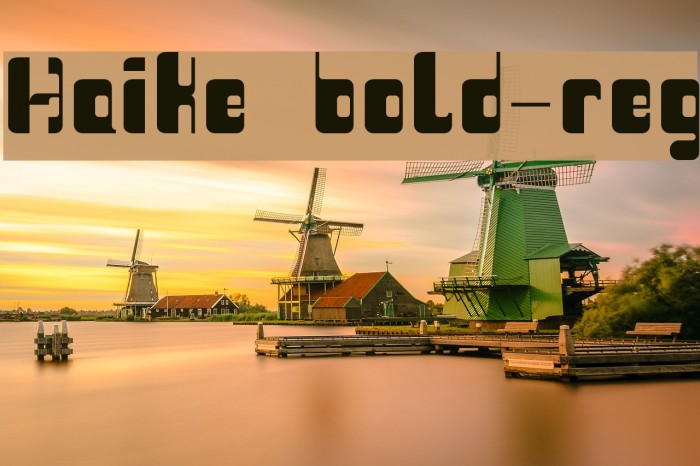 Haike  bold-reg Example 1