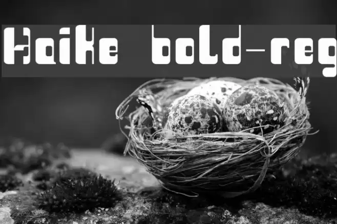Haike  bold-reg Font examples