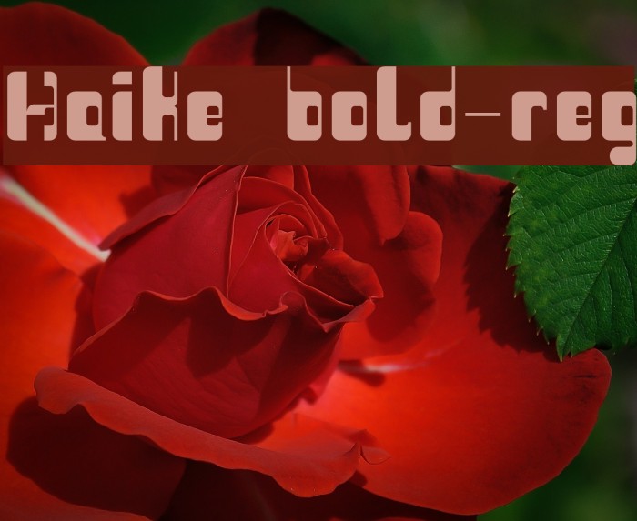 Haike  bold-reg Example 3