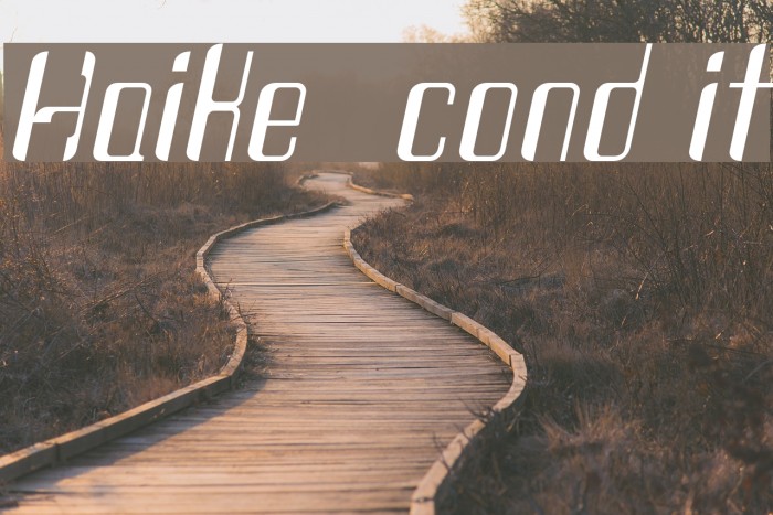 Haike  cond it Example 1