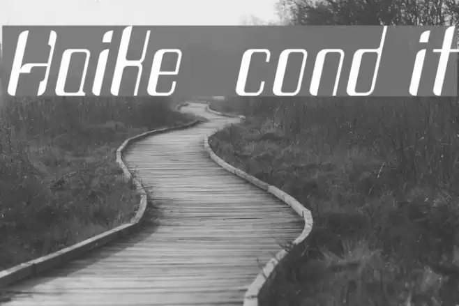 Haike cond it Font examples