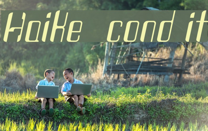 Haike  cond it Example 3