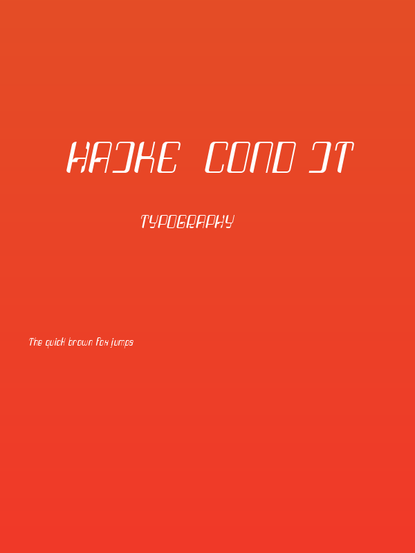 Haike  cond it Poster