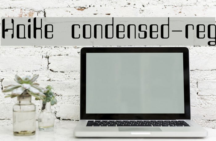 Haike  condensed-reg Example 1