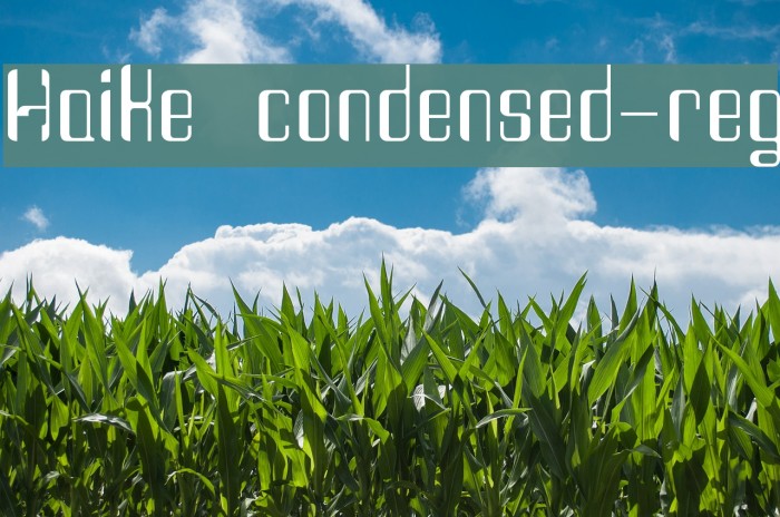 Haike  condensed-reg Example 2