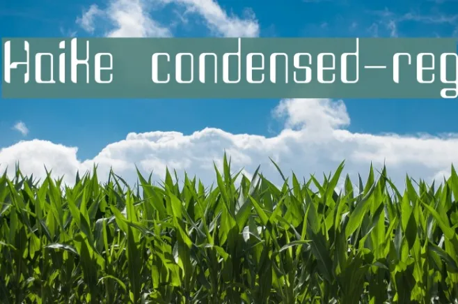 Haike  condensed-reg Example 2